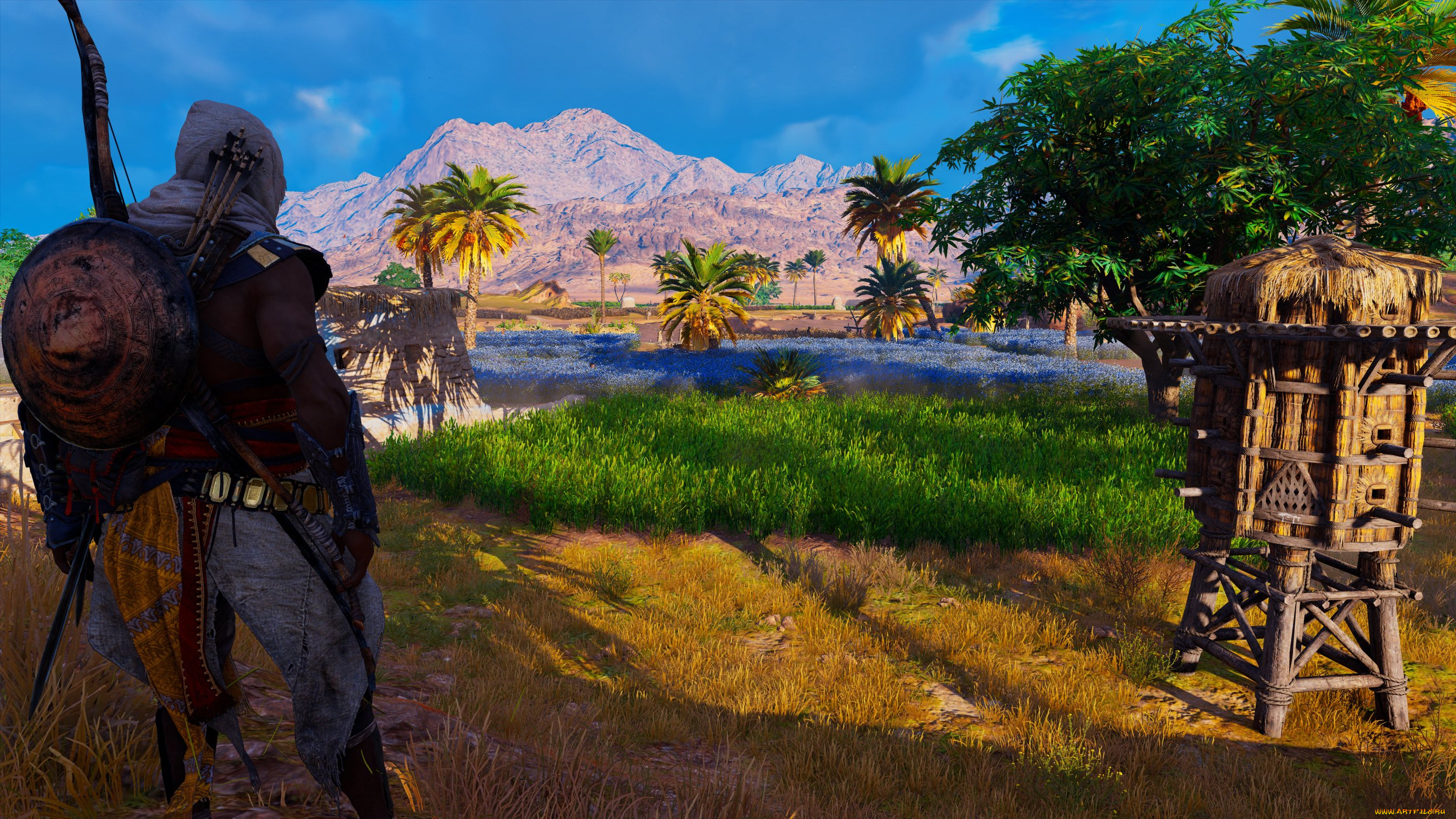  , assassin`s creed,  origins, assassin's, creed, origins